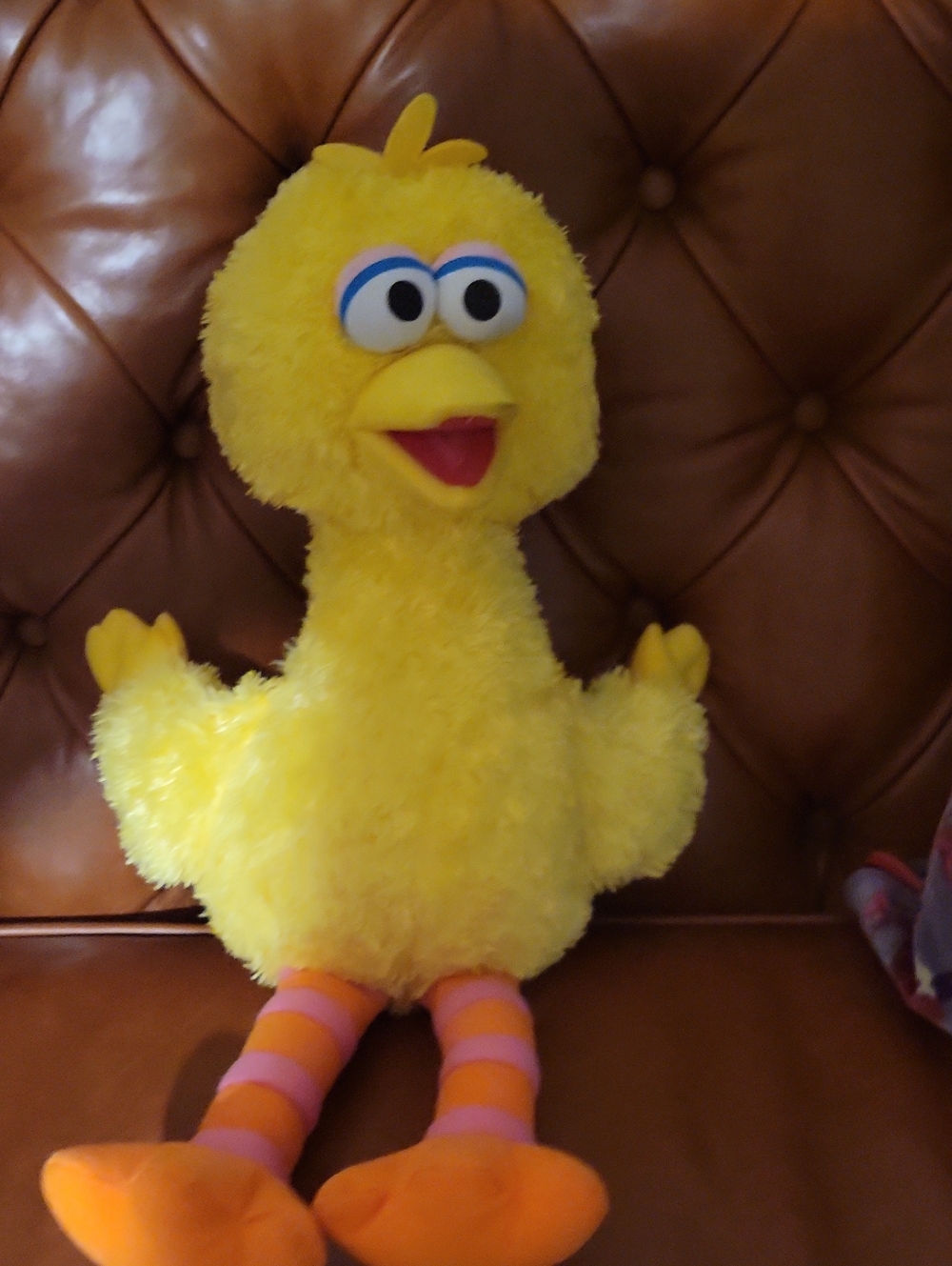 Big Bird, 14 in
